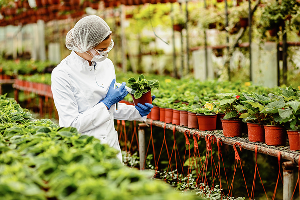 Bio-based plant protection