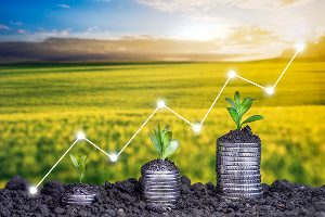 Farm output and profitability