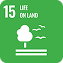 SDG Icon